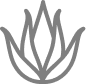 Icona dei cosmetici naturali